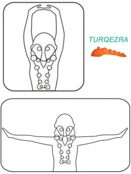 How to use the trapezius muscle massager