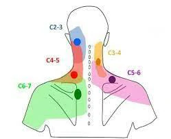 discomfort in shoulder blade causes